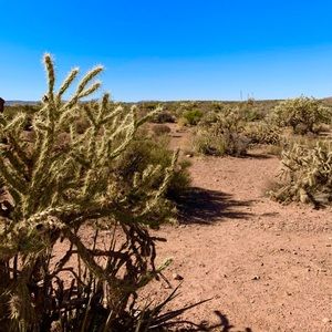 Meet your Posher, Elisabeth